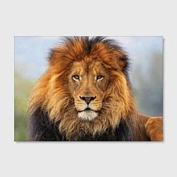 Холст прямоугольный Красавец лев, цвет: 3D-принт — фото 2