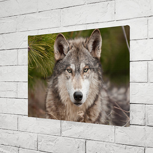 Картина прямоугольная Волк таежный / 3D-принт – фото 3