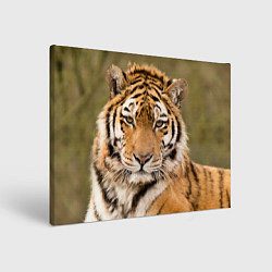 Холст прямоугольный Милый тигр, цвет: 3D-принт