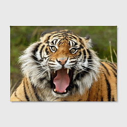 Холст прямоугольный Удивленный тигр, цвет: 3D-принт — фото 2