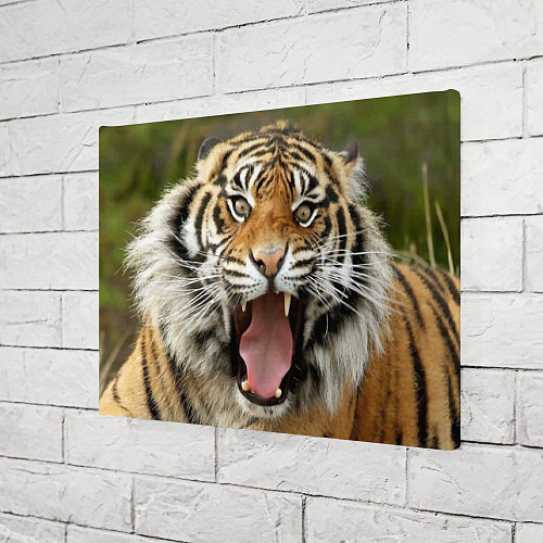 Картина прямоугольная Удивленный тигр / 3D-принт – фото 3
