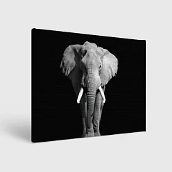 Холст прямоугольный Старый слон, цвет: 3D-принт