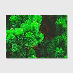 Холст прямоугольный Зелёная ель, цвет: 3D-принт — фото 2