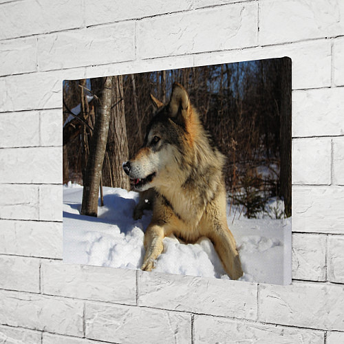 Картина прямоугольная Волк лежит на снегу / 3D-принт – фото 3