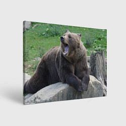 Холст прямоугольный Медведь, цвет: 3D-принт