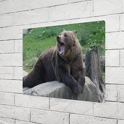 Картина прямоугольная Медведь / 3D-принт – фото 3