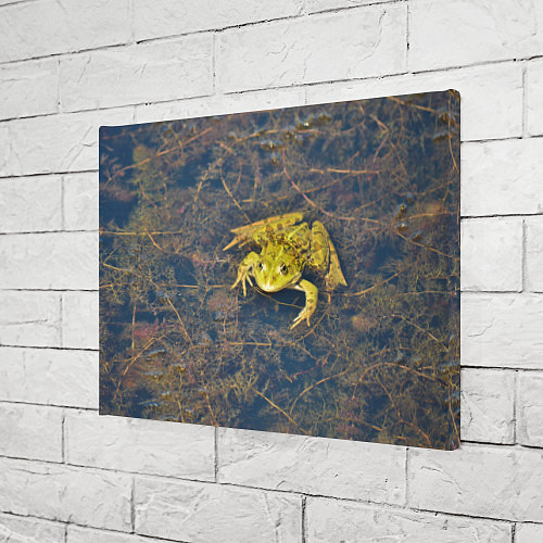 Картина прямоугольная Лягушка / 3D-принт – фото 3