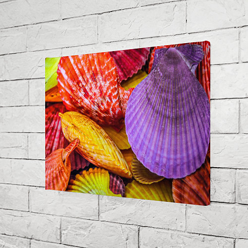 Картина прямоугольная Разноцветные ракушки multicolored seashells / 3D-принт – фото 3
