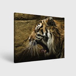 Холст прямоугольный Зевающий тигр, цвет: 3D-принт
