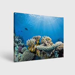 Холст прямоугольный Кораллы в тропических водах индийского океана, цвет: 3D-принт