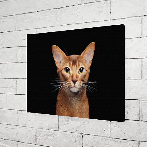 Картина прямоугольная Молодая абиссинская кошечка / 3D-принт – фото 3