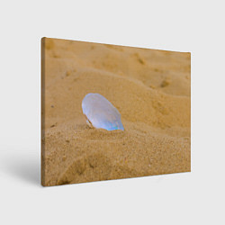 Холст прямоугольный Перламутровая ракушка на песке, цвет: 3D-принт
