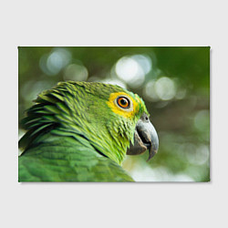 Холст прямоугольный Попугaй, цвет: 3D-принт — фото 2