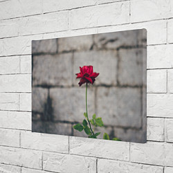 Холст прямоугольный Роза на фоне серой стены, цвет: 3D-принт — фото 2