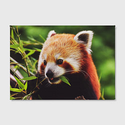Холст прямоугольный Красная милая панда, цвет: 3D-принт — фото 2