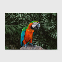 Холст прямоугольный Попугай Макао, цвет: 3D-принт — фото 2