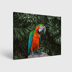 Холст прямоугольный Попугай Макао, цвет: 3D-принт