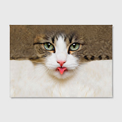 Холст прямоугольный Кошка показывает язык, цвет: 3D-принт — фото 2