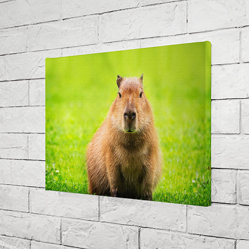 Картина прямоугольная Capybara on green grass / 3D-принт – фото 3