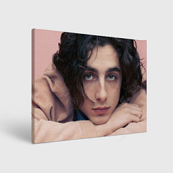 Холст прямоугольный Timothe Chalamet on a pink background, цвет: 3D-принт