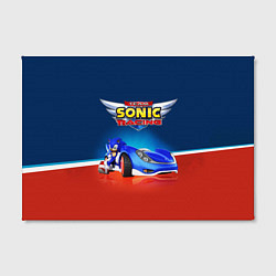 Холст прямоугольный Hedgehog - Sonic racing team, цвет: 3D-принт — фото 2