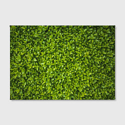 Холст прямоугольный Зеленая трава, цвет: 3D-принт — фото 2