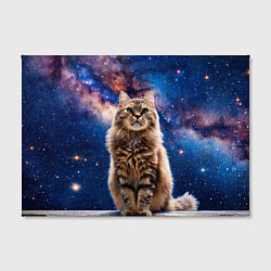Холст прямоугольный Сибирская кошка в космосе, цвет: 3D-принт — фото 2