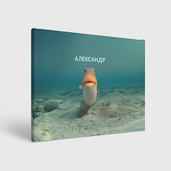 Холст прямоугольный Рыба - Александр, цвет: 3D-принт