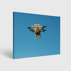 Холст прямоугольный Mousini Quadrocoptini мем, цвет: 3D-принт