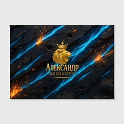 Холст прямоугольный Александр лев по натуре, цвет: 3D-принт — фото 2