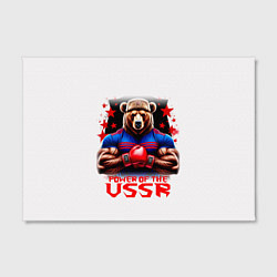 Холст прямоугольный USSR медведь, цвет: 3D-принт — фото 2