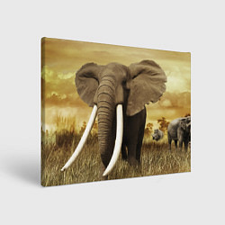 Холст прямоугольный Могучий слон, цвет: 3D-принт