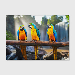 Холст прямоугольный Экзотические попугаи, цвет: 3D-принт — фото 2