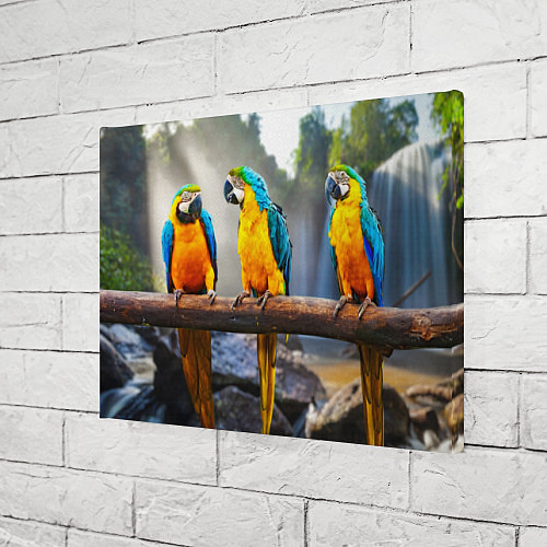 Картина прямоугольная Экзотические попугаи / 3D-принт – фото 3