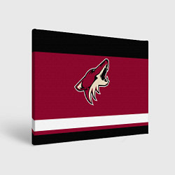 Холст прямоугольный Arizona Coyotes, цвет: 3D-принт