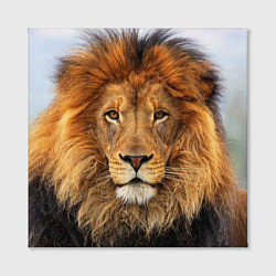 Холст квадратный Красавец лев, цвет: 3D-принт — фото 2