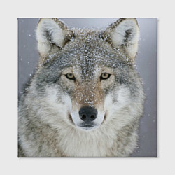 Холст квадратный Милый волк, цвет: 3D-принт — фото 2