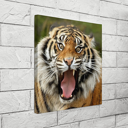 Картина квадратная Удивленный тигр / 3D-принт – фото 3