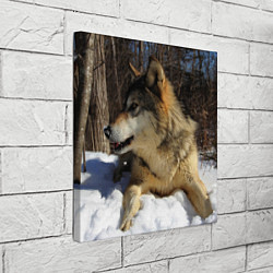 Холст квадратный Волк лежит на снегу, цвет: 3D-принт — фото 2