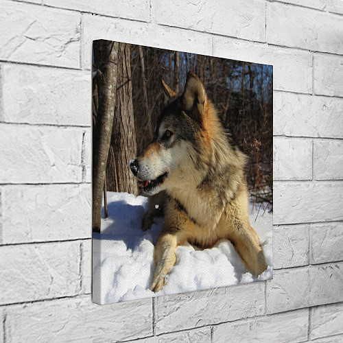 Картина квадратная Волк лежит на снегу / 3D-принт – фото 3