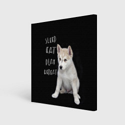 Холст квадратный Sleep Eat Play Repeat Хаски щенок, цвет: 3D-принт