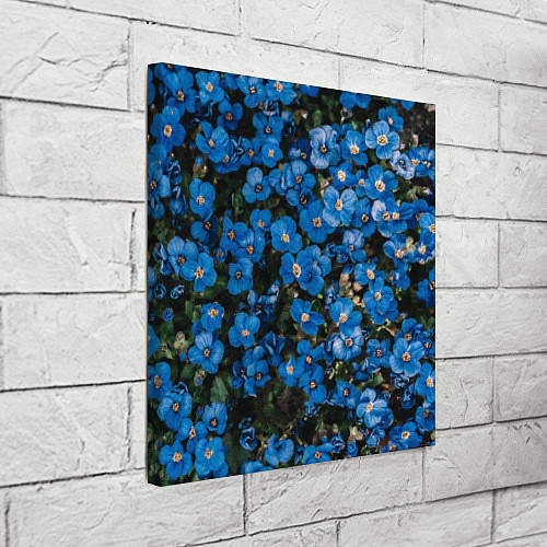 Картина квадратная Поле синих цветов фиалки лето / 3D-принт – фото 3