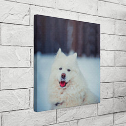 Холст квадратный САМОЕД, цвет: 3D-принт — фото 2