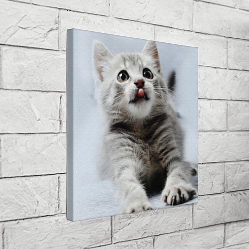 Картина квадратная Серый котенок / 3D-принт – фото 3