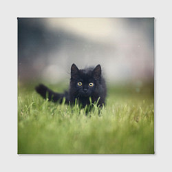 Холст квадратный Черный кот на лугу, цвет: 3D-принт — фото 2