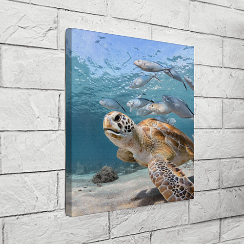 Картина квадратная Морская черепаха / 3D-принт – фото 3