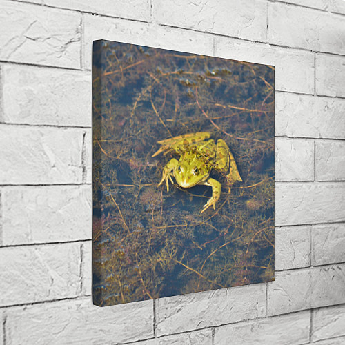 Картина квадратная Лягушка / 3D-принт – фото 3