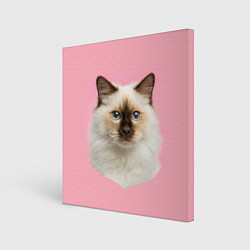 Холст квадратный Пушистый кот, цвет: 3D-принт