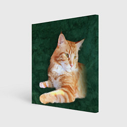 Холст квадратный Мейн кун рыжий кот, цвет: 3D-принт