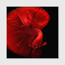 Холст квадратный Бойцовская-рыбка, цвет: 3D-принт — фото 2
